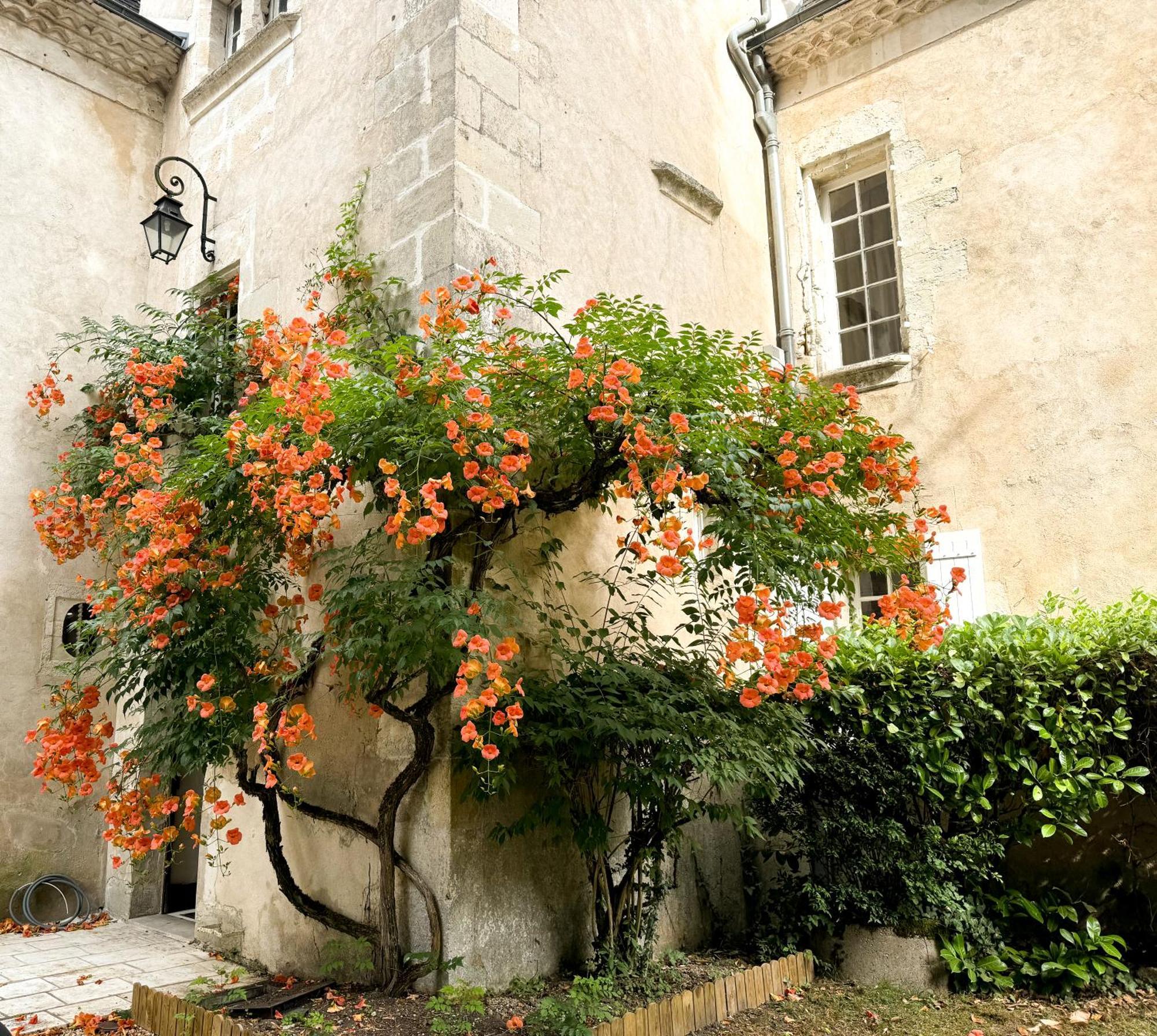 Domaine Labattut Bed & Breakfast Saint-Astier  Eksteriør bilde